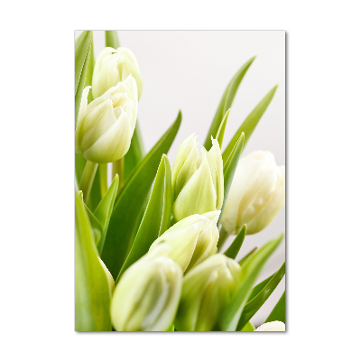 Akrilkép Fehér tulipán
