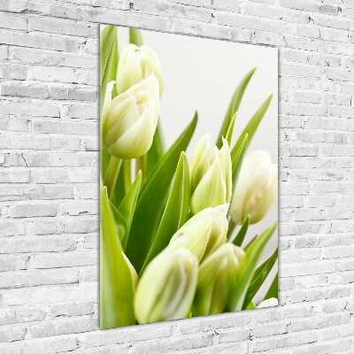 Akrilkép Fehér tulipán