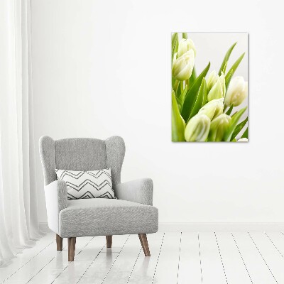 Akrilkép Fehér tulipán