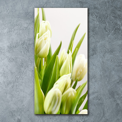 Akrilkép Fehér tulipán