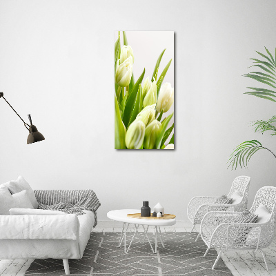 Akrilkép Fehér tulipán