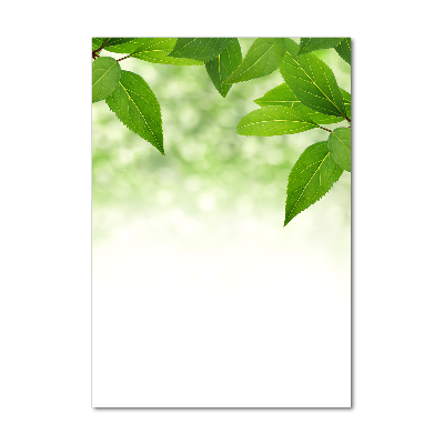 Akrilkép Zöld levelek