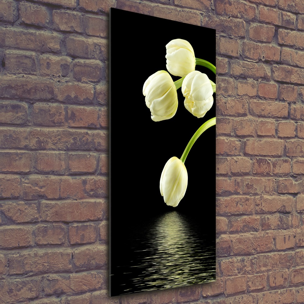 Akrilkép Fehér tulipán
