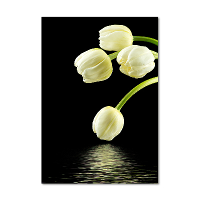 Akrilkép Fehér tulipán
