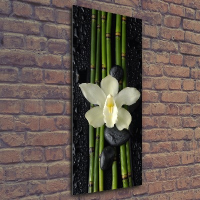 Akrilkép Orchidea és bambusz