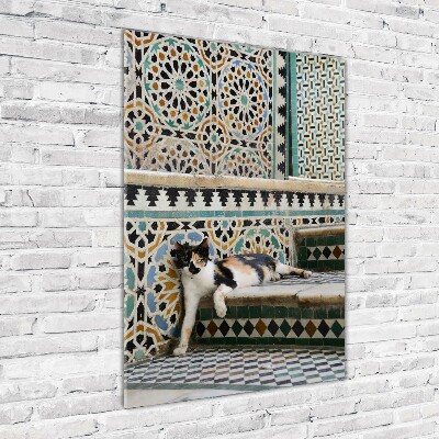 Akrilkép Cat marokkóban