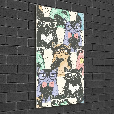 Akrilkép Macskák szemüveg