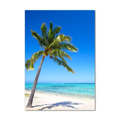 Akril üveg kép Trópusi tengerpart