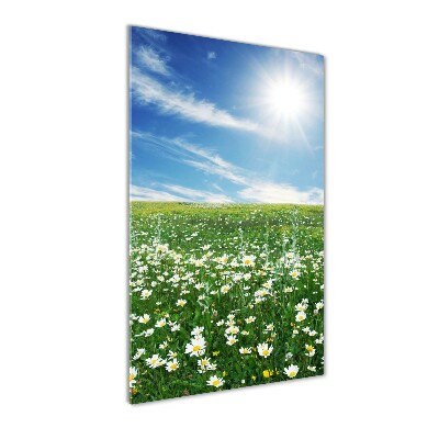 Akril üveg kép Rét