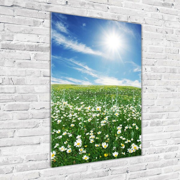 Akril üveg kép Rét