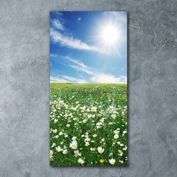 Akril üveg kép Rét