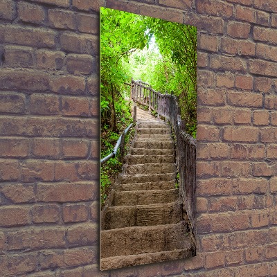 Akril üveg kép Lépcsők az erdőben