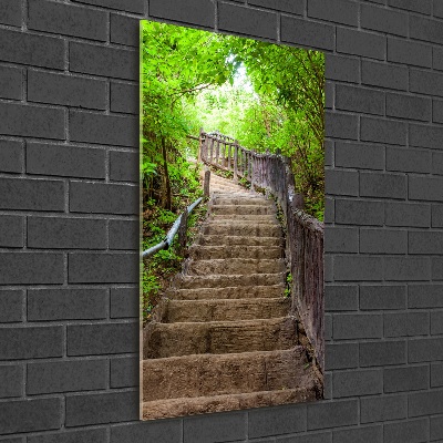 Akril üveg kép Lépcsők az erdőben