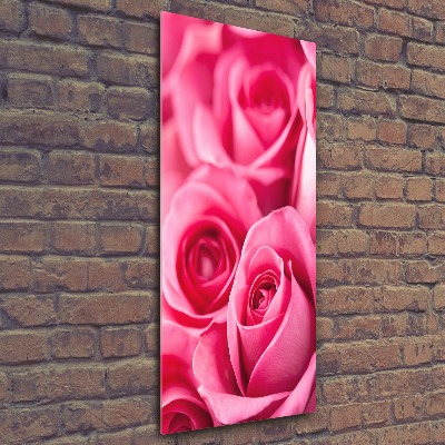 Akrilkép Rózsaszín rózsa