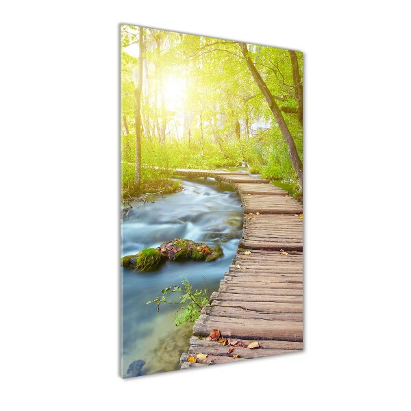 Akril üveg kép Az út az erdőben