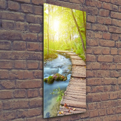 Akril üveg kép Az út az erdőben