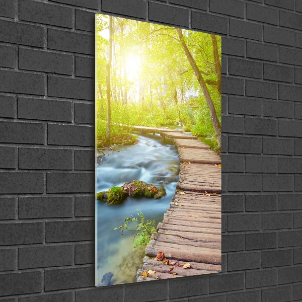 Akril üveg kép Az út az erdőben