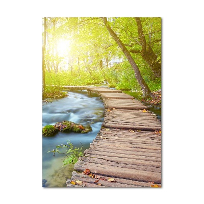 Akril üveg kép Az út az erdőben