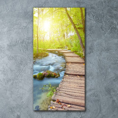 Akril üveg kép Az út az erdőben