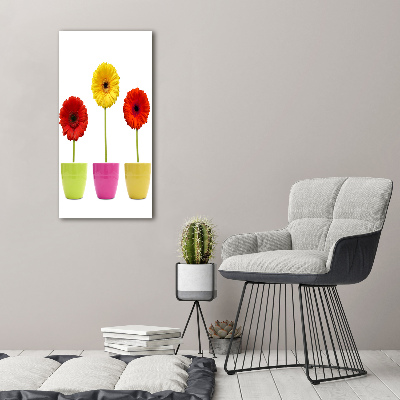 Akrilkép Színes gerbera