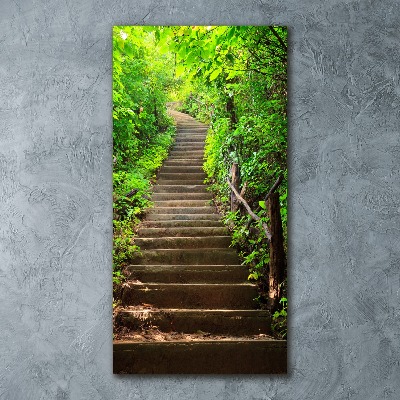 Akril üveg kép Lépcsők az erdő