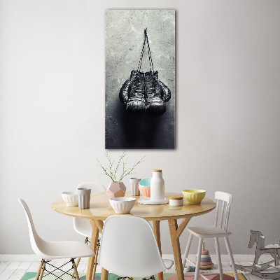 Akrilüveg fotó Bokszkesztyű