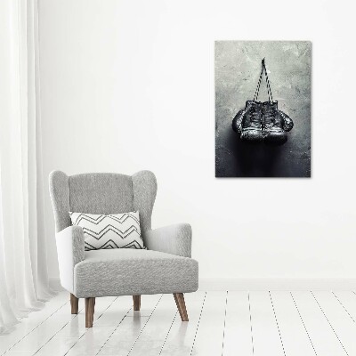 Akrilüveg fotó Bokszkesztyű