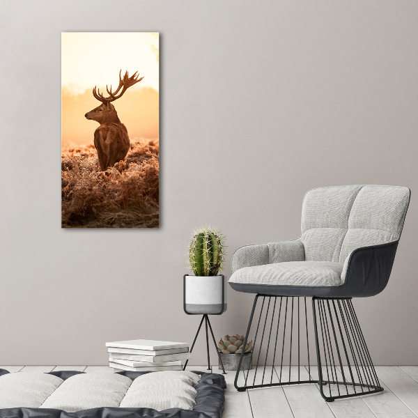 Akrilkép Deer napkelte