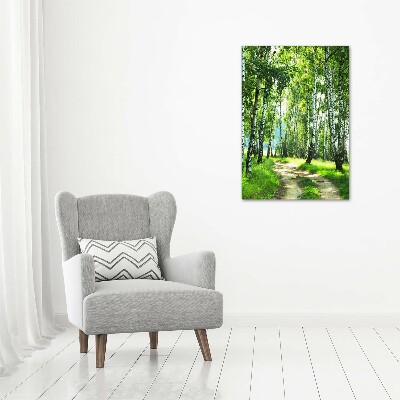 Akril üveg kép Nyírfa erdő