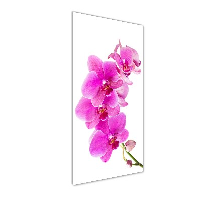 Akrilkép Rózsaszín orchidea