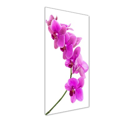 Akrilkép Rózsaszín orchidea
