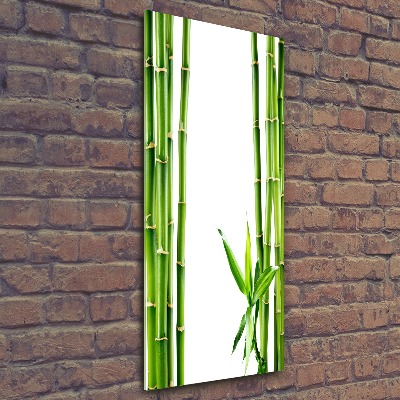 Akrilkép Bambusz