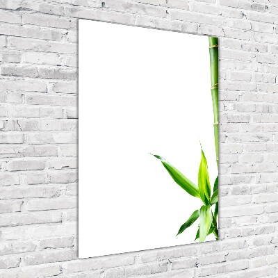 Akrilkép Bambusz