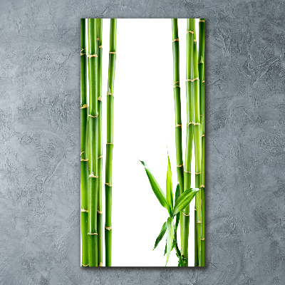 Akrilkép Bambusz