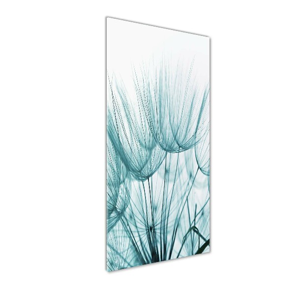 Akrilkép Pitypang magok