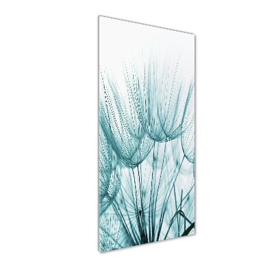 Akrilkép Pitypang magok