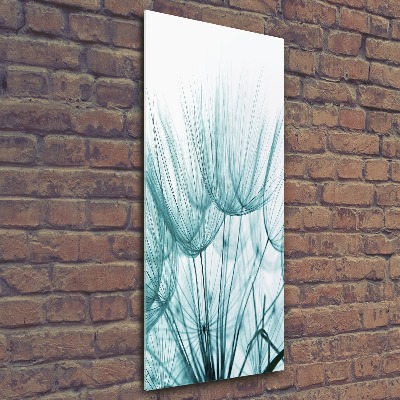 Akrilkép Pitypang magok