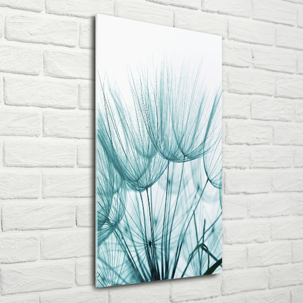 Akrilkép Pitypang magok