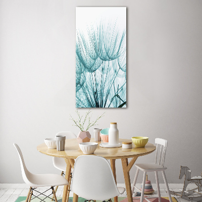 Akrilkép Pitypang magok