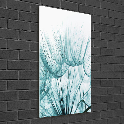 Akrilkép Pitypang magok