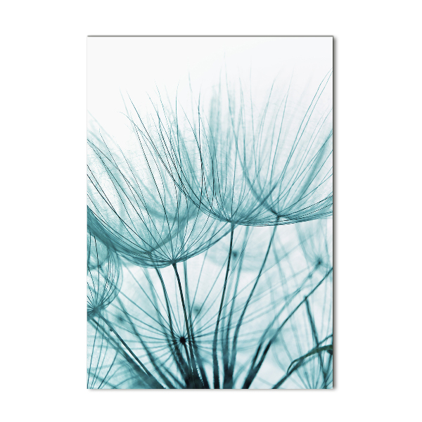 Akrilkép Pitypang magok