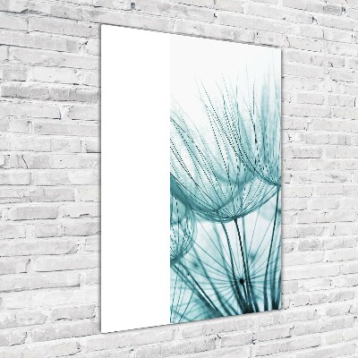 Akrilkép Pitypang magok