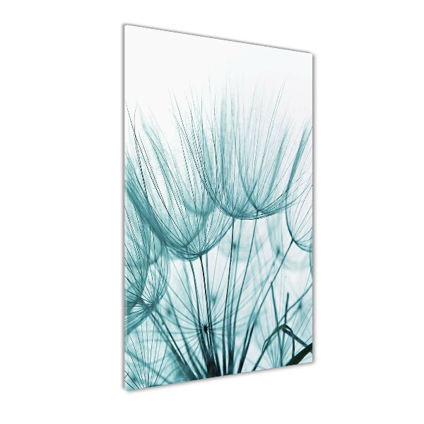 Akrilkép Pitypang magok