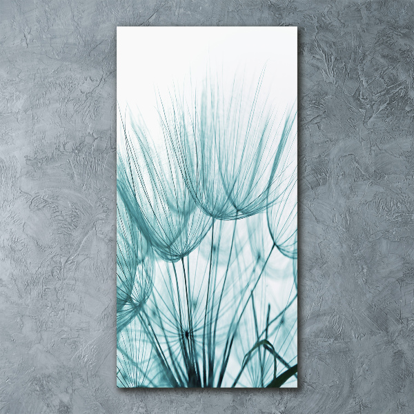 Akrilkép Pitypang magok