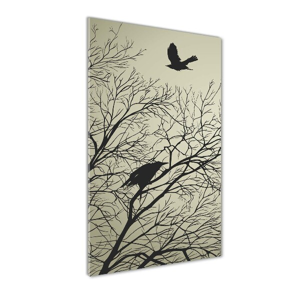 Akrilkép Varjak a fán