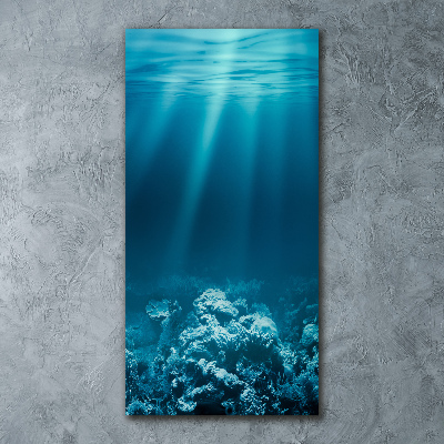 Akril üveg kép Vízalatti világ