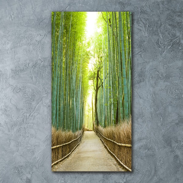 Akril üveg kép Bambusz erdő