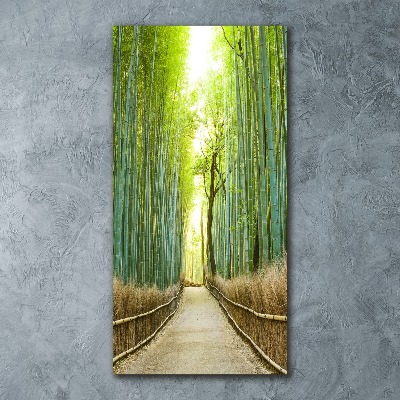 Akril üveg kép Bambusz erdő