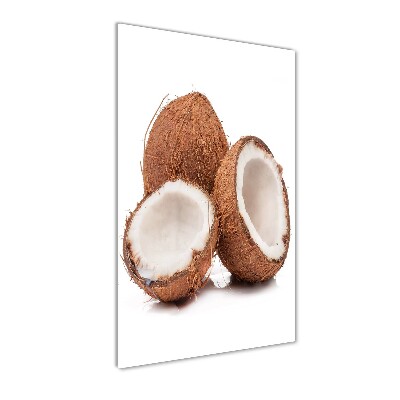 Akril üveg kép Kókuszdió