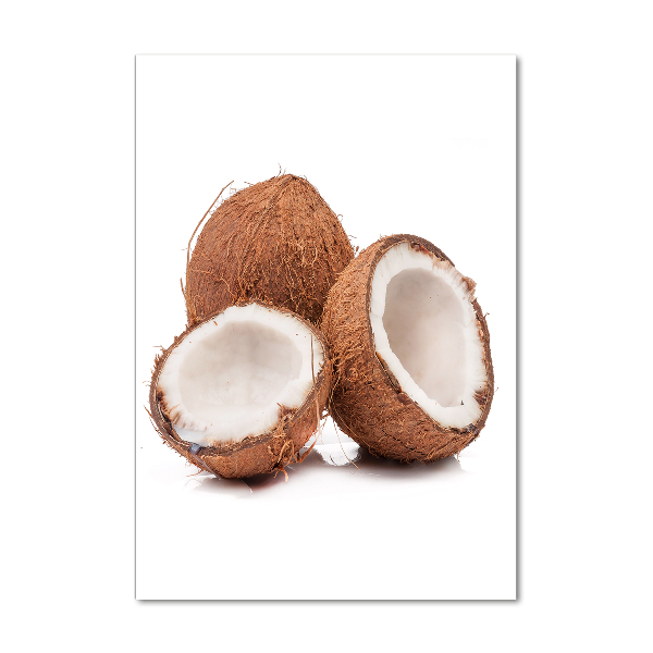 Akril üveg kép Kókuszdió